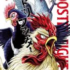 51bdfIRRLHL._SY445_SX342_QL70_ML2_