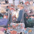 517SXbR93EL._SY445_SX342_QL70_ML2_