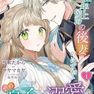 81-BhaycOL._AC_UY427_FMwebp_QL65_