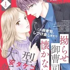 81vGVWc8tTL._AC_UY427_FMwebp_QL65_