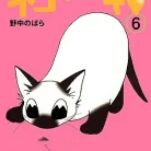 71HEGhbmtRL._AC_UY427_FMwebp_QL65_