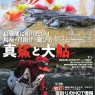 71G4p61Z4GL._AC_UL480_FMwebp_QL65_