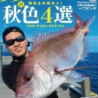 81VX227HIuL._AC_UL480_FMwebp_QL65_